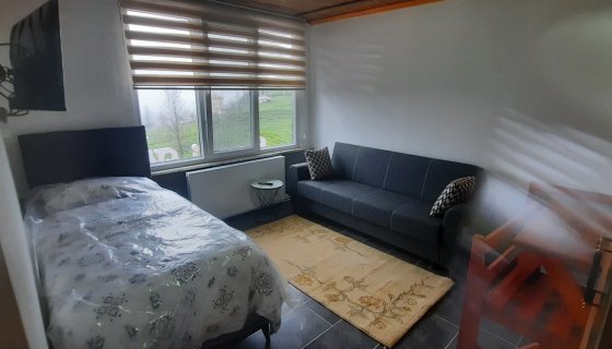 Oda Orkide